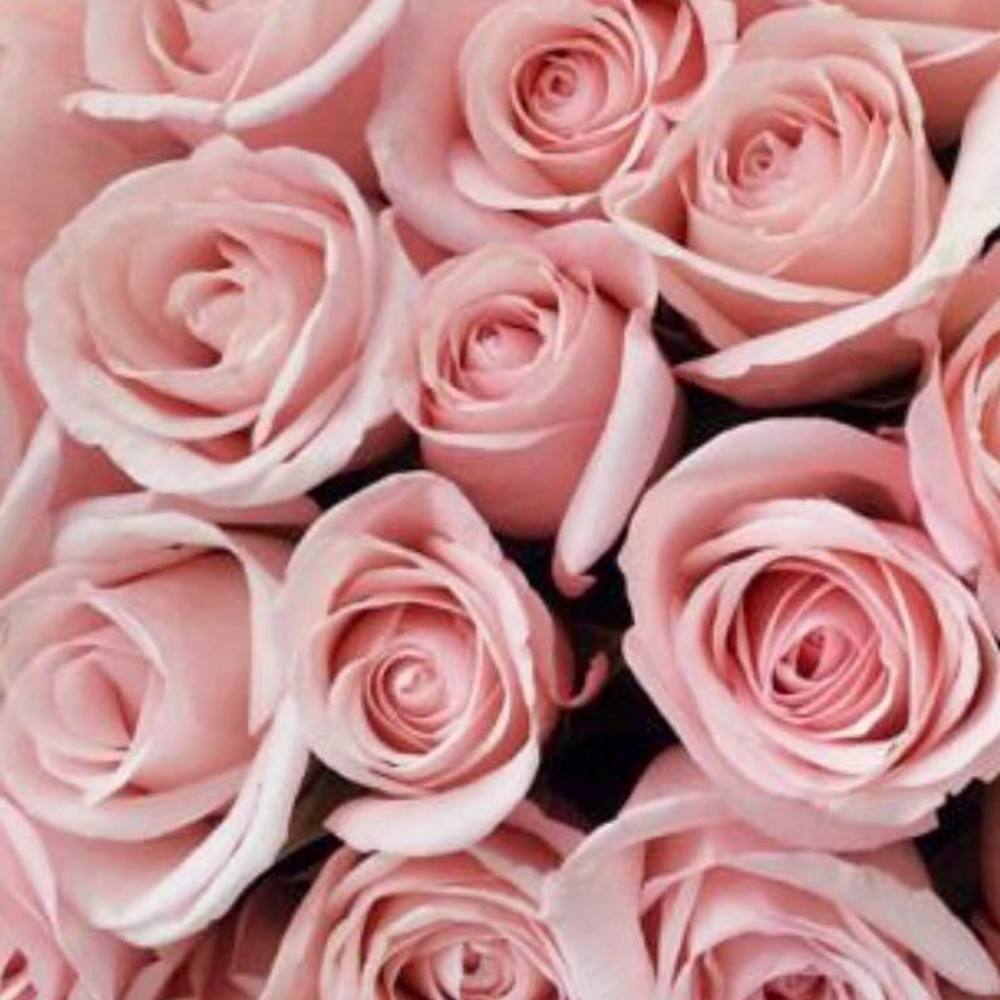 Meet your Posher, Tabatha